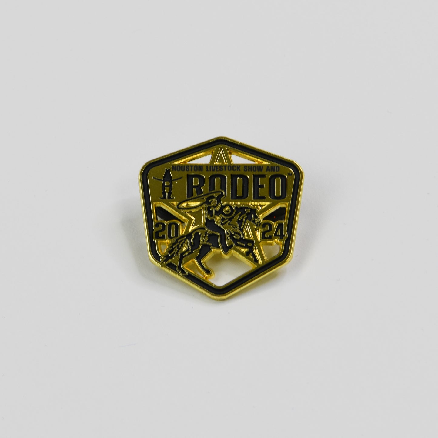 2024 Annual Pin