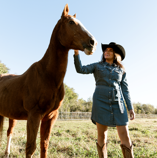 HLSR Wrangler Denim Dress