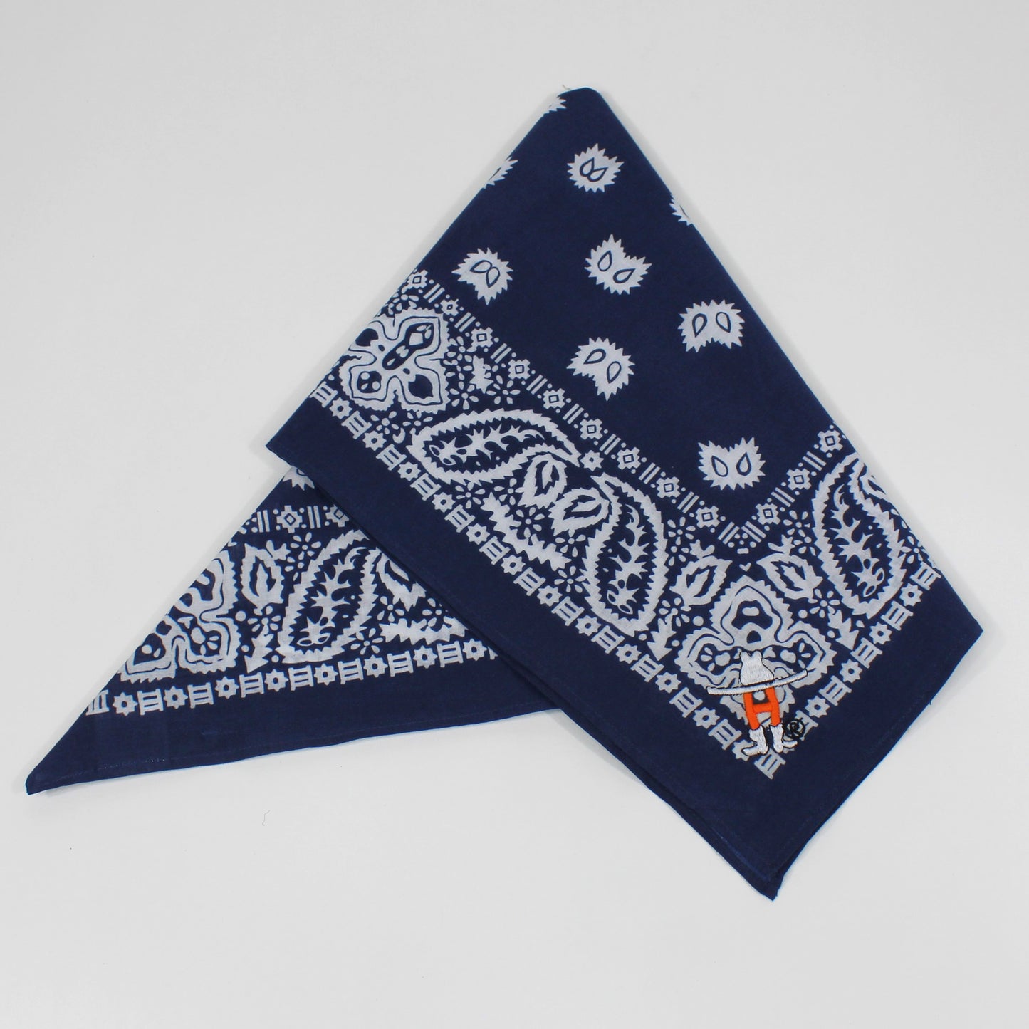 HLSR Bandana